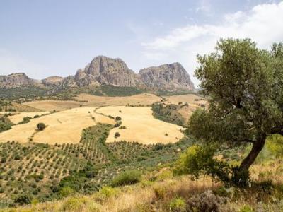 Acheter Terrain Riogordo r�gion MALAGA