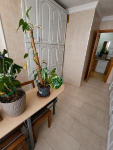 Acheter Appartement Estepona