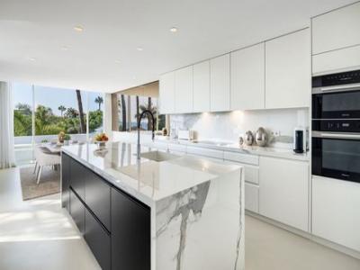 Acheter Appartement 232 m2 Marbella