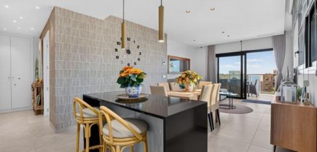 Acheter Appartement Benidorm r�gion ALICANTE