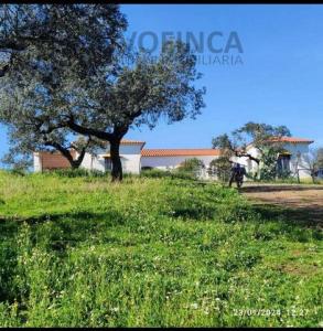 Acheter Maison Badajoz r�gion BADAJOZ