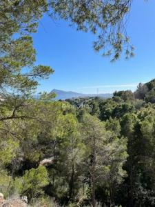 Annonce Vente Terrain Alhama-springs