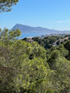 Acheter Terrain 1 m2 Alhama-springs