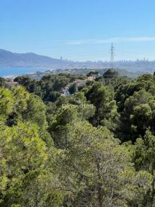 Acheter Terrain Alhama-springs r�gion ALICANTE