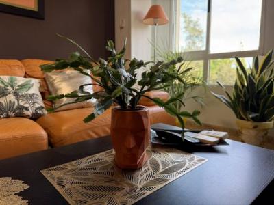 Acheter Appartement 70 m2 Pilar-de-la-horadada