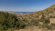Annonce Vente Local commercial Mojacar
