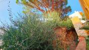 Acheter Terrain 223 m2 Llanca