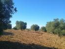 Acheter Terrain 17000 m2 Niebla