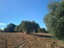 Acheter Terrain Niebla r�gion HUELVA