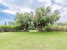 Vente Maison Sotogrande 11310