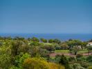 Acheter Maison Sotogrande r�gion CADIZ