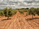 Acheter Maison Malaga r�gion MALAGA