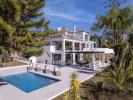 Acheter Maison 445 m2 Benahavis