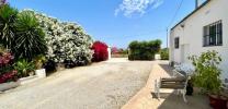 Acheter Maison 196 m2 Daya-nueva