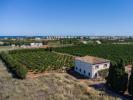 Annonce Vente Maison Denia