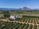 Acheter Maison 470 m2 Denia