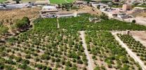 Acheter Maison Orihuela r�gion ALICANTE