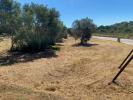 Vente Terrain Calonge 07669