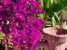 Acheter Maison Aeroport-d'eivissa r�gion ISLAS-BALEARES