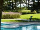Annonce Vente Appartement San-pedro-alcantara