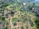 Annonce Vente Terrain Riogordo