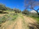 Acheter Terrain 9175 m2 Riogordo
