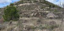 Annonce Vente Terrain Confrides