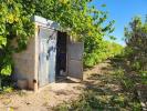 Annonce Vente Terrain Santa-barbara