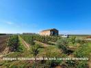 Annonce Vente Terrain Alcoletge