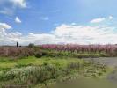 Acheter Terrain 13950 m2 Lleida