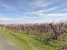 Acheter Terrain Lleida r�gion LLEIDA