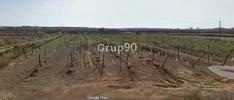 Acheter Terrain Albatarrec r�gion LLEIDA