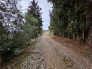 Acheter Terrain 10240 m2 Alpicat