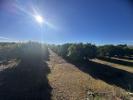Acheter Terrain Masdenverge r�gion TARRAGONA