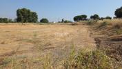 Acheter Terrain 4855 m2 Alcoletge