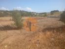 Acheter Terrain Ayamonte r�gion HUELVA