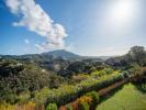 Acheter Maison 1269 m2 Benahavis