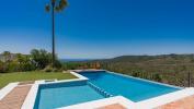 Acheter Maison 414 m2 Benahavis
