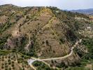 Annonce Vente Terrain Riogordo