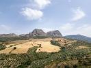 Acheter Terrain 32767 m2 Riogordo