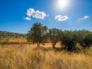 Annonce Vente Terrain Teulada