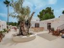 Acheter Maison Santa-eularia-des-riu r�gion ISLAS-BALEARES