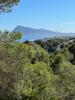 Acheter Terrain 1 m2 Alhama-springs